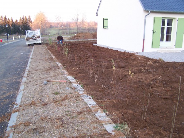 Plantation d'arbustes à fleurs